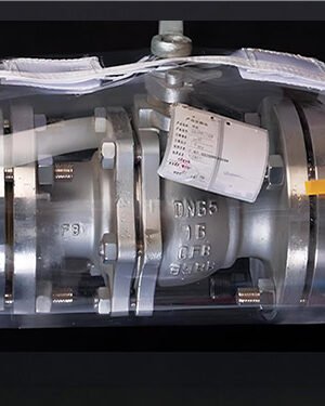 Valve Protector