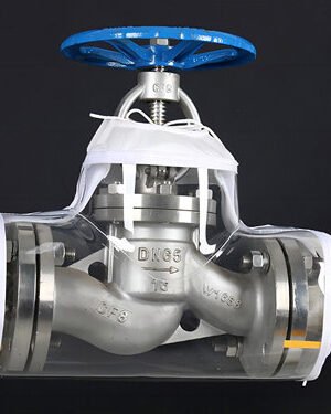 Valve Protector